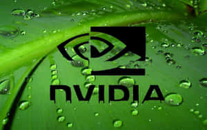 Nvidia 標誌在帶有水珠的濕綠葉上