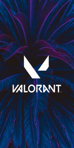 藍色和紫色羽毛背景上的Valorant標誌 — 18:9 壁紙