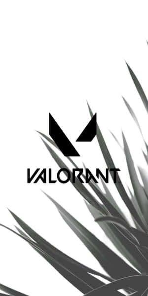 白色背景上帶有風格化植物葉片的Valorant標誌 — 18:9 壁紙