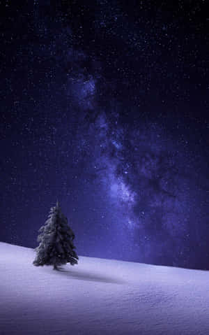 一棵積雪的松樹，在可見銀河的紫色星空夜空下。