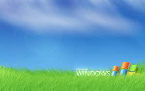 藍天下草地山丘上的Windows標誌
