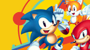 色彩繽紛卡通風格的 Sonic Tails 和 Knuckles