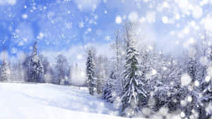冬季森林中積雪的樹木，藍天下飄落著雪花。