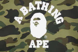 迷彩布料上的A BATHING APE標誌