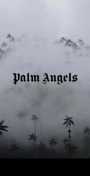 霧中的棕櫚樹和哥德式字體的「Palm Angels」文字。