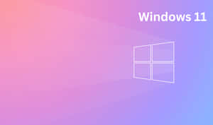 Windows 11 標誌在粉紅和紫色漸變背景上。