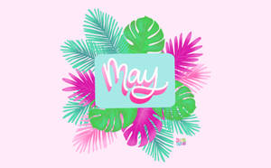 熱帶葉子框住一個藍色盒子，上面用粉紅色手寫體寫著「May」。
