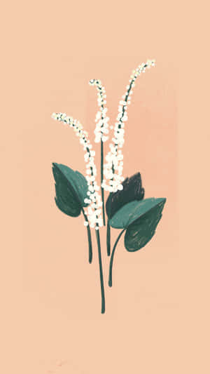 白色開花植物與深綠色葉子的插圖，蜜桃色背景