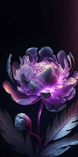 一朵發光的紫色牡丹花，背景深色，下方有一個花蕾。 — 花卉 iPhone 壁紙