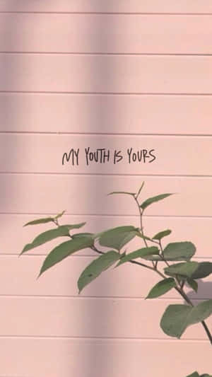 綠色植物枝條，粉紅色牆上手寫文字 my youth is yours — 花卉 iPhone 壁紙
