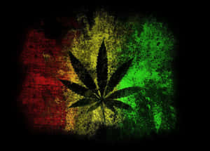 黑色大麻葉在紅、黃、綠頹廢風格背景上。