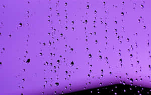 玻璃上的雨滴，映襯著紫色的暮色天空