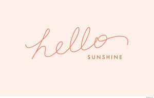 蜜桃色背景上以珊瑚色書寫的 hello sunshine 文字