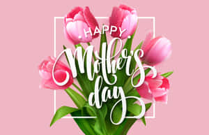 Happy Mother's Day 祝福，粉紅色鬱金香和綠色葉子放在白色框架中。
