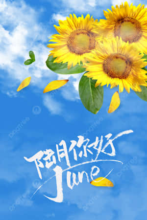 向日葵和花瓣在藍天中飄浮，帶有六月文字。