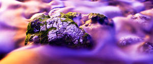 流水中帶有紫色和橙色色調的長滿苔蘚的岩石。 — 2560x1080 壁紙