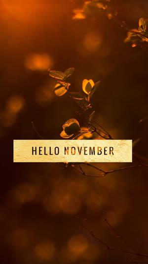 金黃色的秋葉帶有「Hello November」文字疊加，在溫暖的散景背景中。