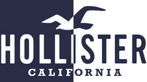 Hollister California 標誌，海鷗飛翔於海軍藍和白色分割背景之上。