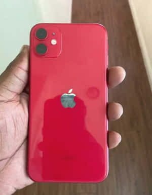 手拿著紅色iPhone 11，相機模組和Apple標誌清晰可見。