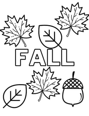 秋天的樹葉和橡子的黑白輪廓，帶有FALL這個詞。 — 秋天 壁紙