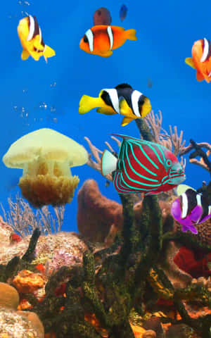 色彩繽紛的熱帶魚和水母在清澈藍色海水的珊瑚之間游動。