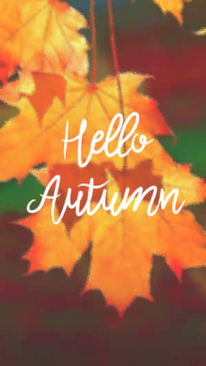 秋天的葉子，帶有白色草書的hello autumn文字。