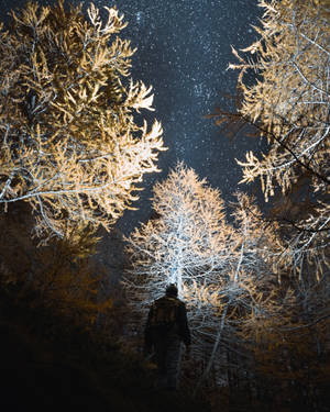 在星空下雪地森林中站立的人