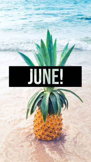 海中的菠蘿與沙灘上的「JUNE!」文字疊加。
