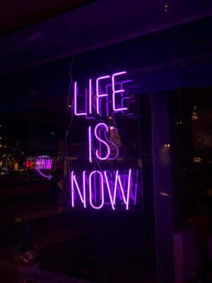 夜晚黑暗的城市窗戶中，一個寫著「Life is Now」的紫色霓虹燈牌。