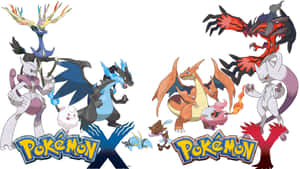 帶有傳說寶可夢角色的 Pokémon X 和 Y 遊戲封面。 — 可愛寵物小精靈 壁紙