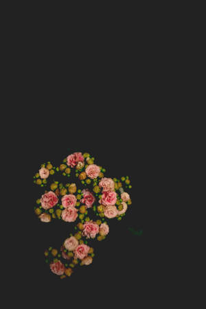 粉紅玫瑰和綠色花蕾在黑色上以極簡風格排列。