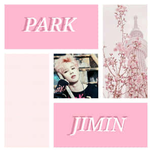 粉紅色拼貼畫，包含 Jimin 肖像、櫻花和文字方塊。 — 形容詞 GIF 壁紙