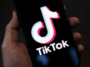手拿著手機，屏幕上顯示TikTok標誌。 — TikTok GIF 壁紙
