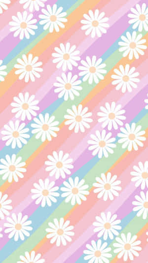 柔和彩虹條紋與白色雛菊的重複圖案。