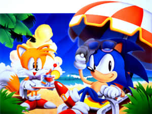 Sonic 和 Tails 享受海灘假期，有飲料和棕櫚樹。