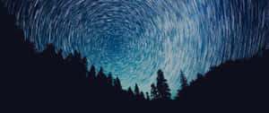 星軌在夜間黑暗森林上方旋轉。