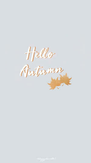 灰色背景上的Hello Autumn文字與金色葉子