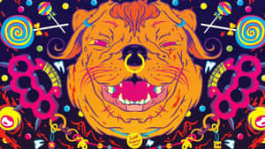 一隻卡通鬥牛犬，帶有金色鼻環和縫合的嘴巴，被糖果和指節銅套包圍。
