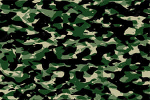 帶有綠色、黑色和米色斑點的軍事迷彩圖案。