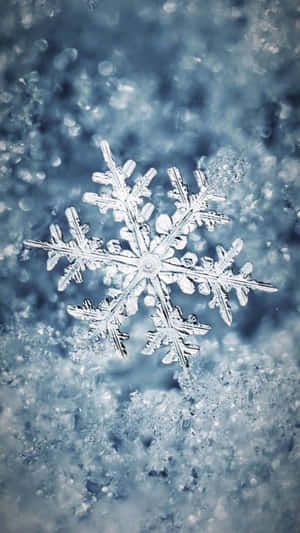 雪地上細節清晰的雪花，背景模糊的藍色