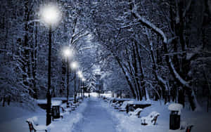 夜晚被街燈照亮的積雪公園小徑，有積雪的樹木和長椅。 — 聖誕快樂 GIF 壁紙