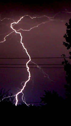 一道明亮的閃電照亮了暴風雨夜空，映襯出樹木和電線的剪影。
