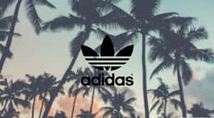 日落時棕櫚樹上的Adidas標誌