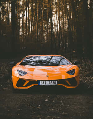 日落時分，一輛橙色林寶堅尼 Aventador 停泊在森林中。