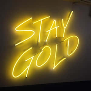 黃色霓虹燈牌，上面寫著「STAY GOLD」，在暗色牆壁上發光。 — 霓虹美學 壁紙