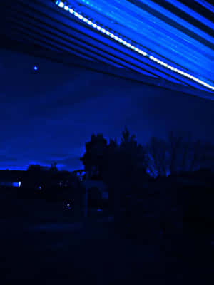 藍色霓虹燈招牌照亮黑暗夜空，襯托樹木剪影。