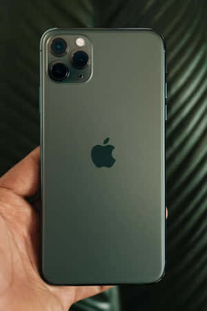手揸住綠色iPhone 11 Pro Max，配備三鏡頭系統。