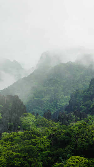 多雲天空下，薄霧籠罩的山巒覆蓋著茂密的綠色森林 — 美學 iPhone 壁紙
