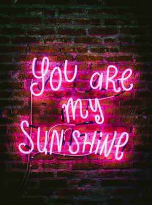 磚牆上一個粉紅色霓虹燈牌，寫着「You are my Sunshine」。