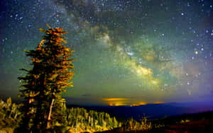 一棵高大的松樹矗立在繁星點點的夜空下，銀河在遠山上方清晰可見。